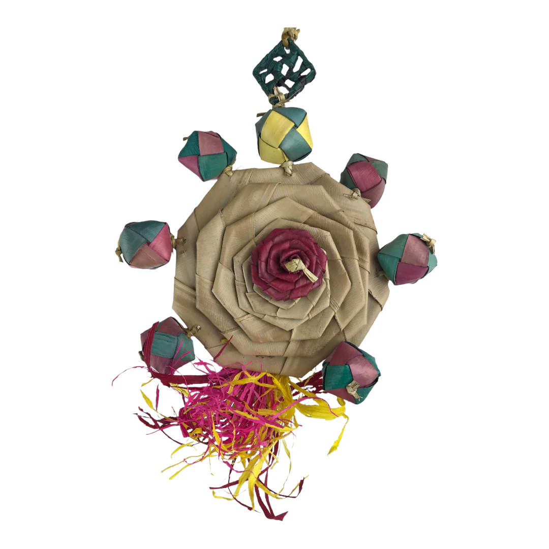 Ninos Java Valentine - Image 3
