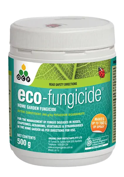 OCP Eco Fungicide - Image 2