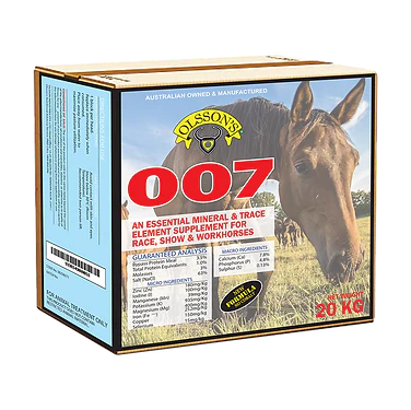 Olssons 007 Horse Lick Block - Image 3