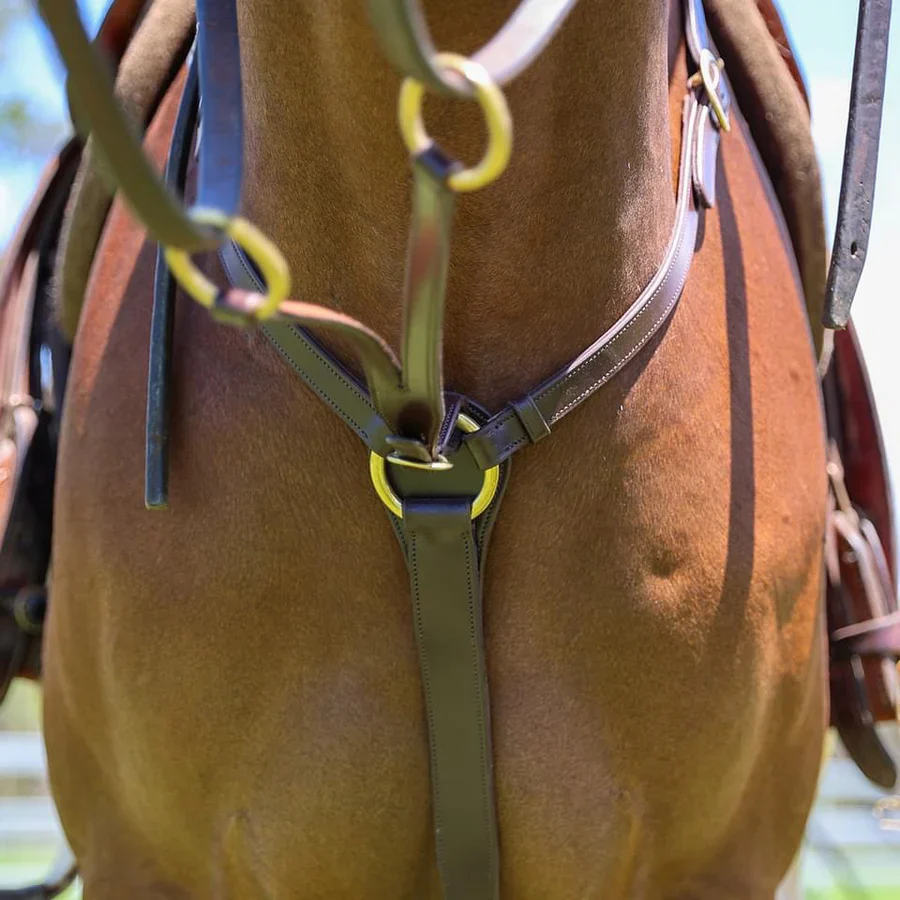 Oregon Silver Bling Stockman Breastplate - Image 2