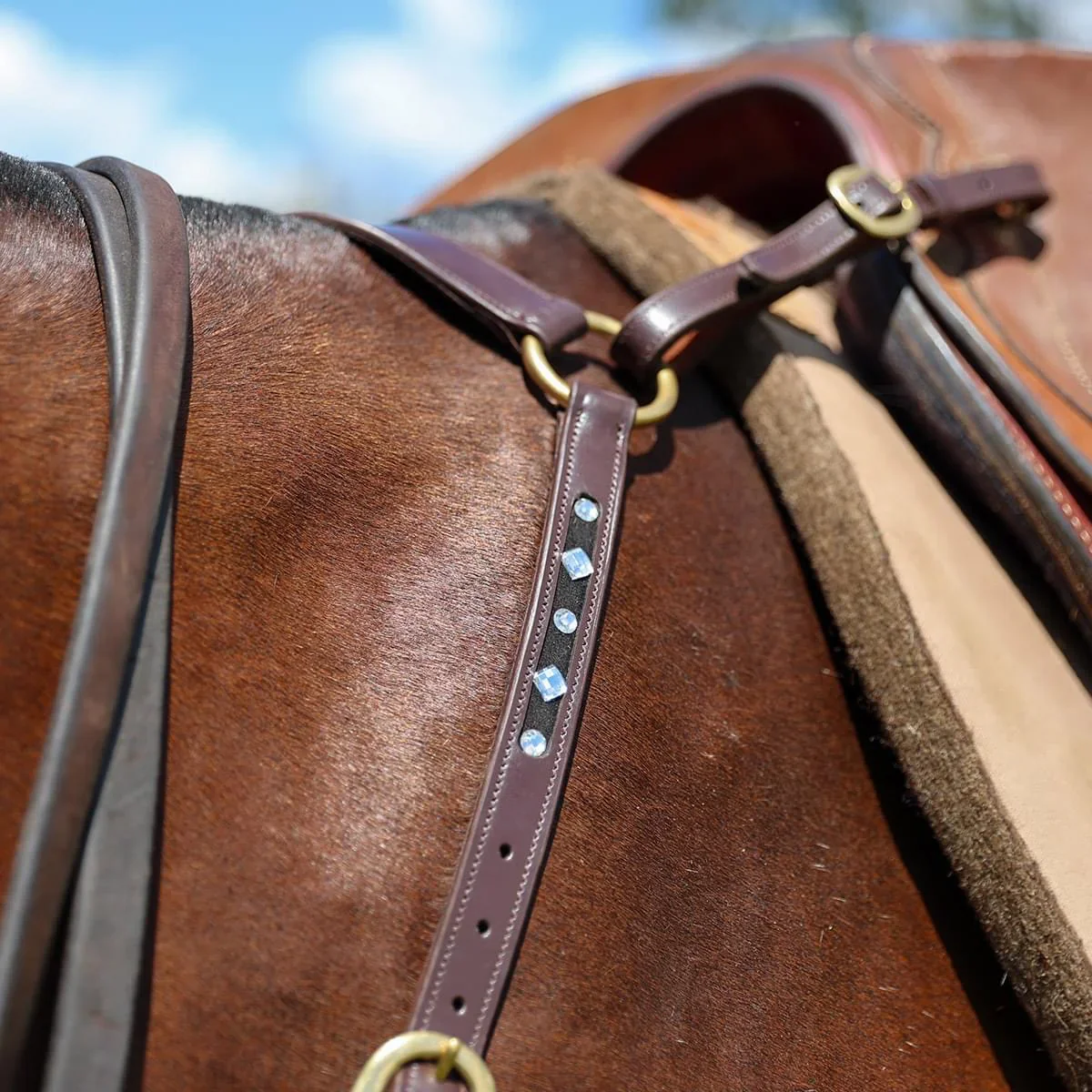 Oregon Silver Bling Stockman Breastplate - Image 3