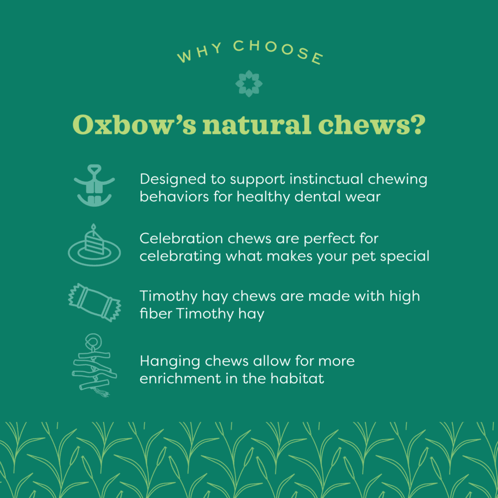 Oxbow Timothy Club Carrot - Image 3