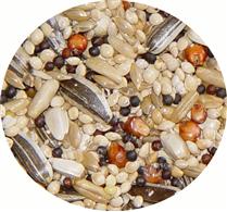 Passwell Avian Delight Bird Treat Bar - Parrot Delight - Image 2