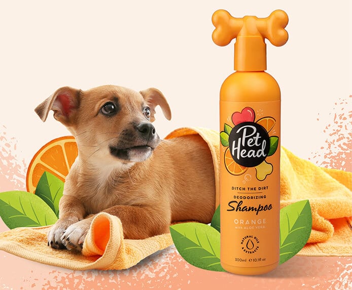 Pet Head Ditch The Dirt Shampoo - Image 6