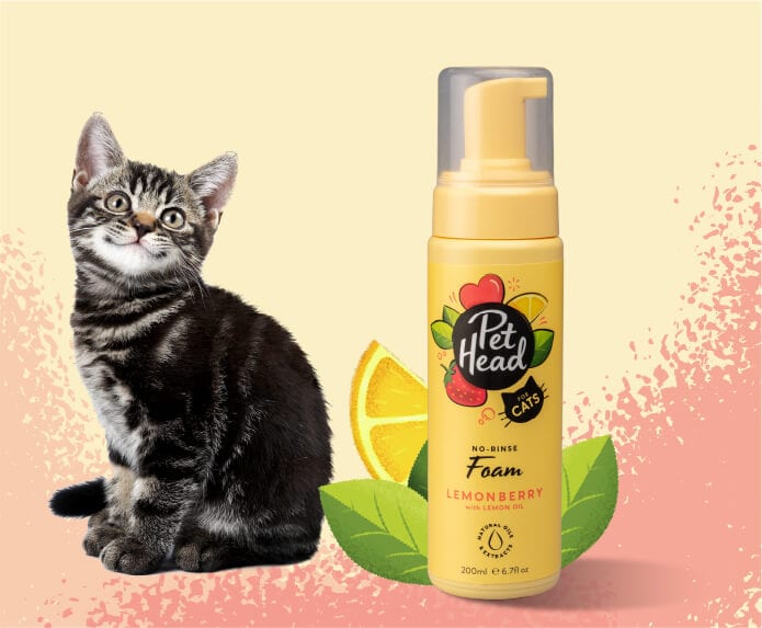 Pet Head Felin' Good Foam - Image 3