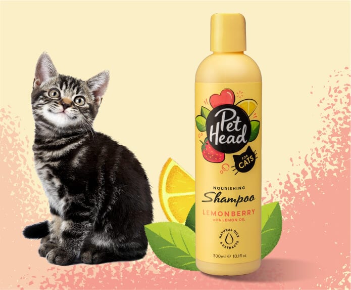 Pet Head Felin' Good Shampoo - Image 2