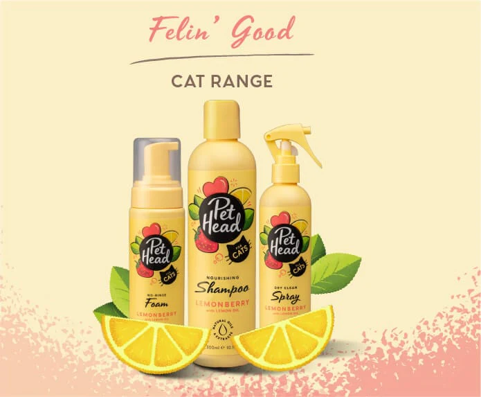 Pet Head Felin' Good Shampoo - Image 4