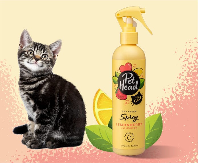 Pet Head Felin' Good Spray - Image 4