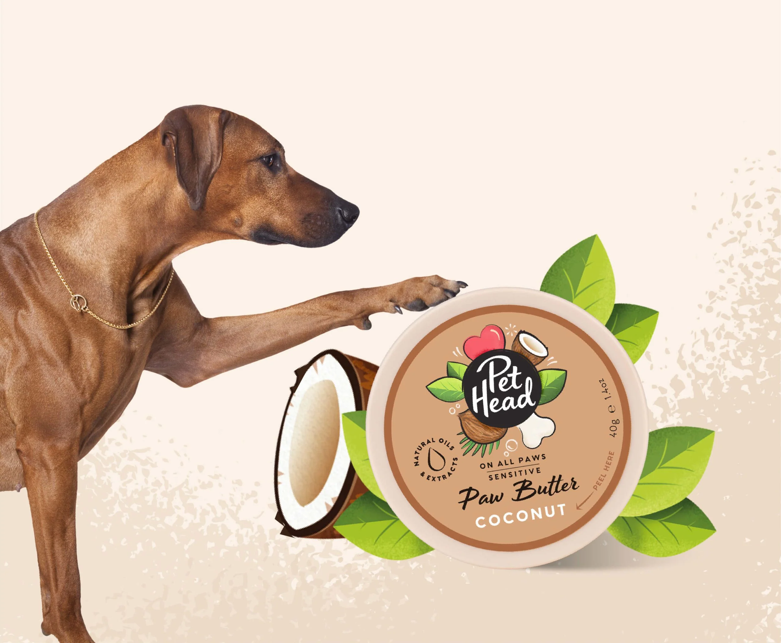 Pet Head On All Paws Coconut Paw Butter - Image 3