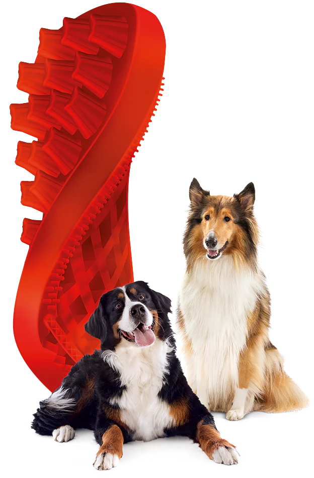 Pet+Me Brush - Image 2