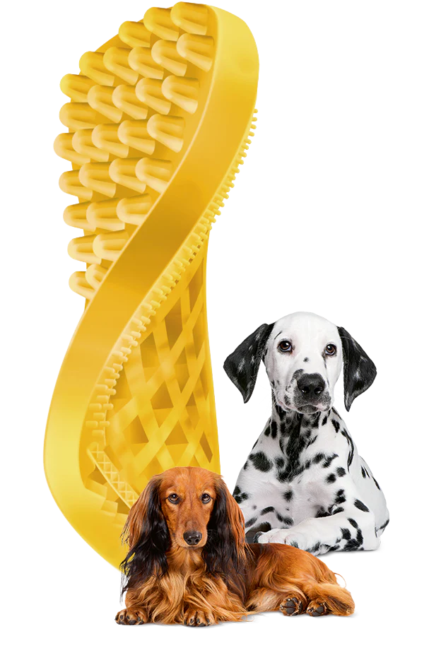 Pet+Me Brush - Image 2