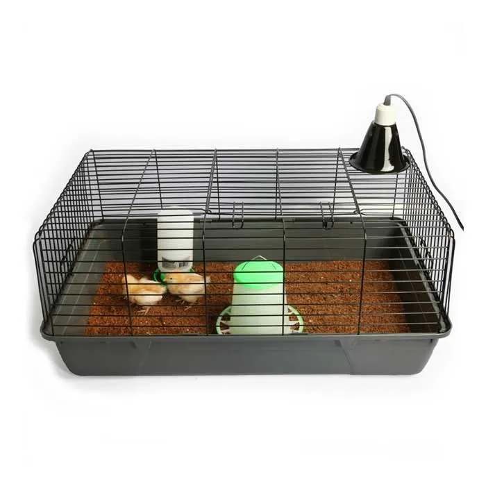 Pet One Your First Chicken Kit - Image 2