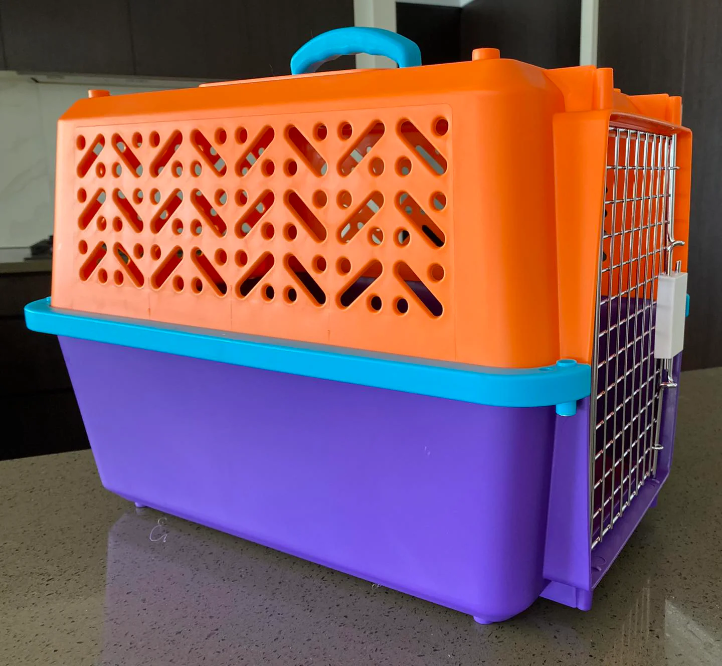 PETXPLORER Pet Travel Crate - Image 2