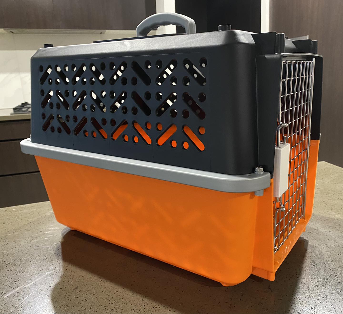 PETXPLORER Pet Travel Crate - Image 3