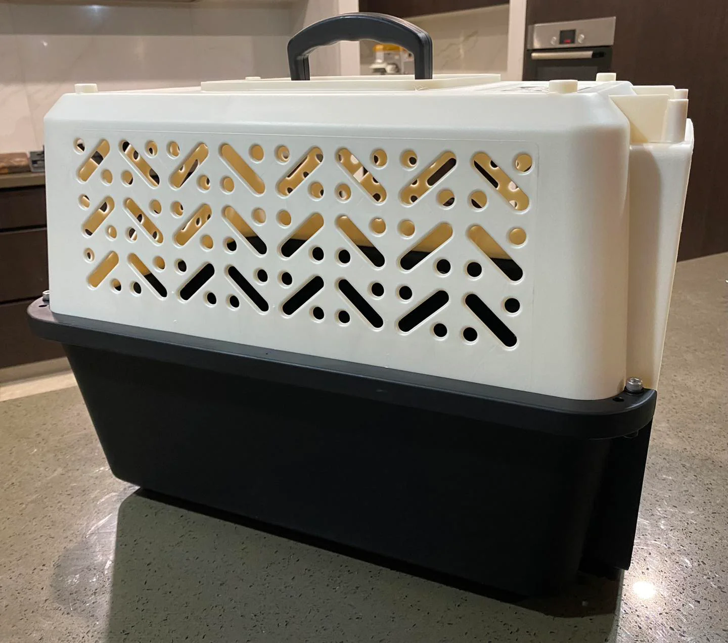 PETXPLORER Pet Travel Crate - Image 5