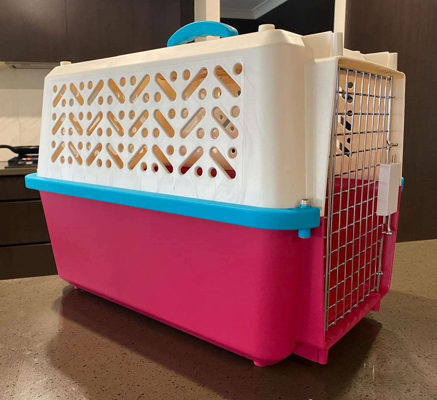 PETXPLORER Pet Travel Crate - Image 6
