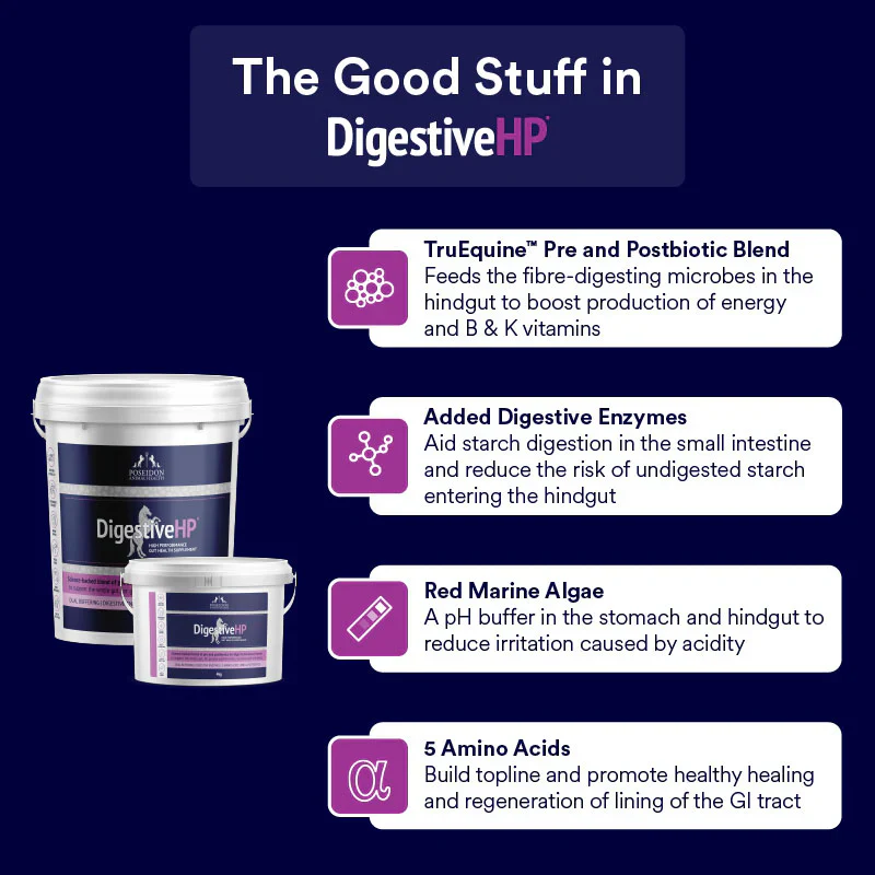 Poseidon Digestive HP - Image 8