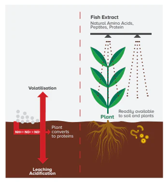 Powerfeed Commercial Strength Liquid Fertiliser - Image 2