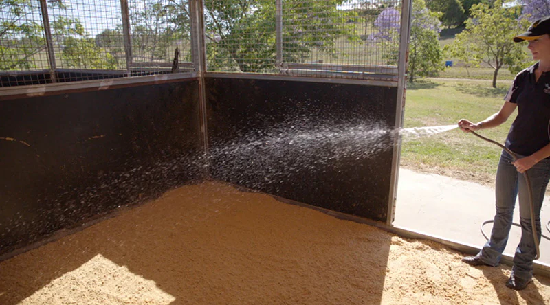 Proteq Equine Bedding - Image 6