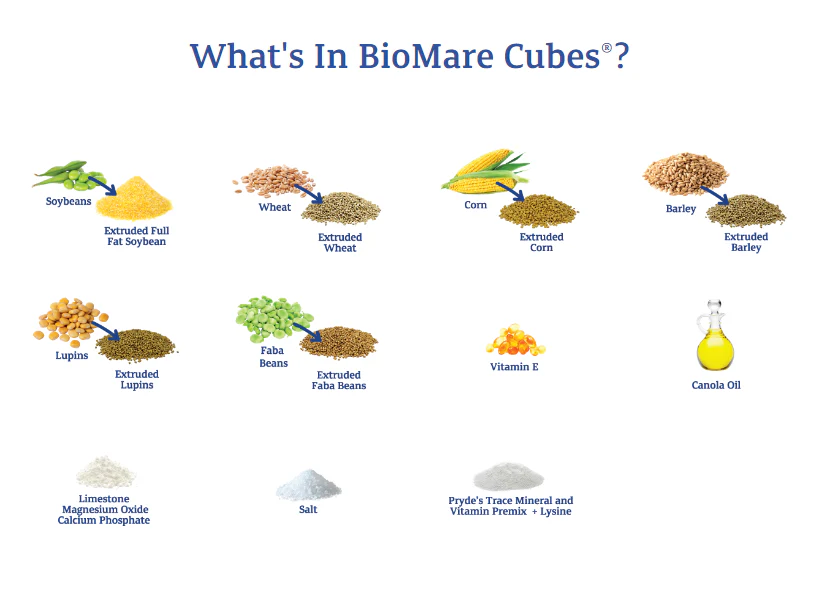 Prydes BioMare Cubes - Image 3