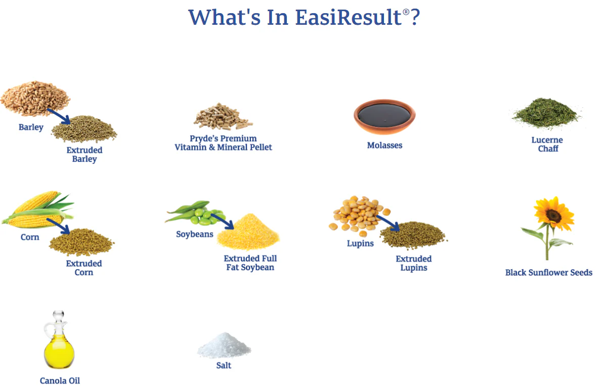 Prydes EasiResult - Image 4