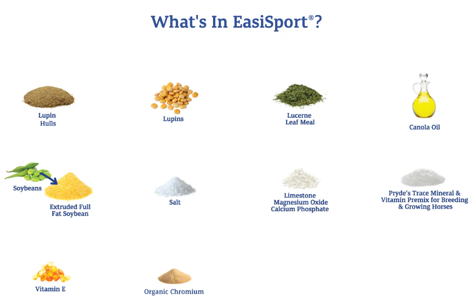 Prydes EasiSport - Image 2