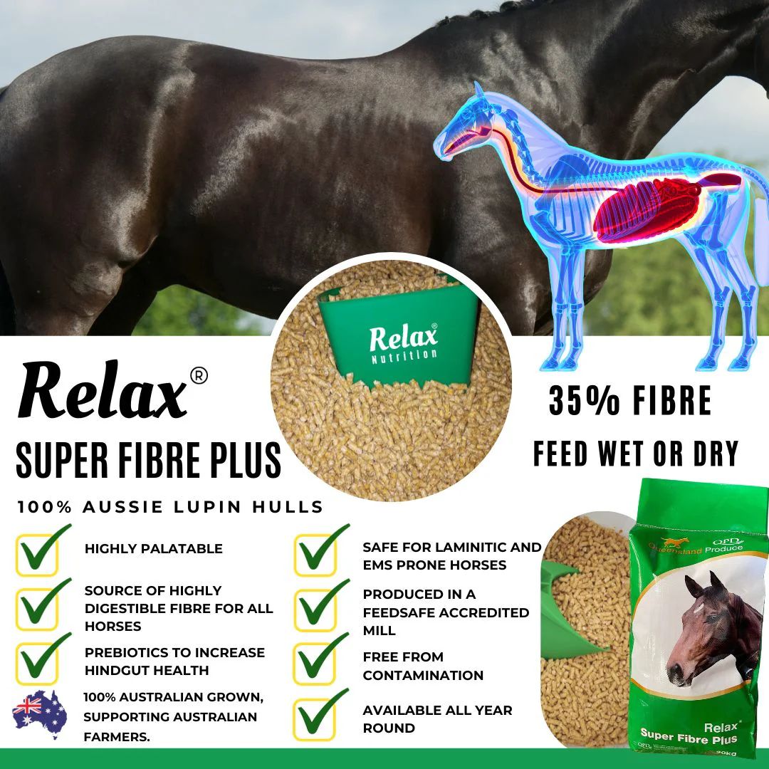 Relax Nutrition Super Fibre Plus - Image 3