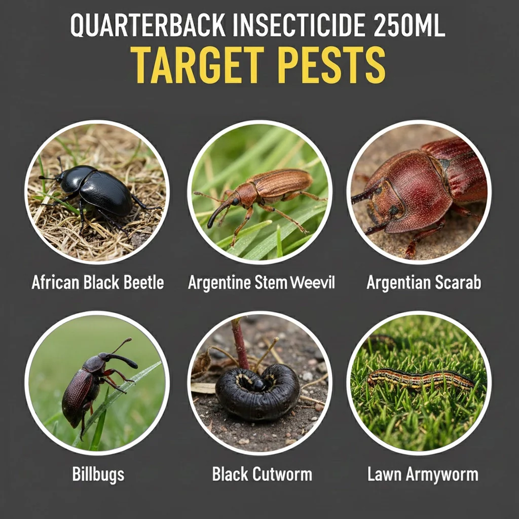 Quarterback Insecticide - 200g/L Chlorantranilprole - Image 3
