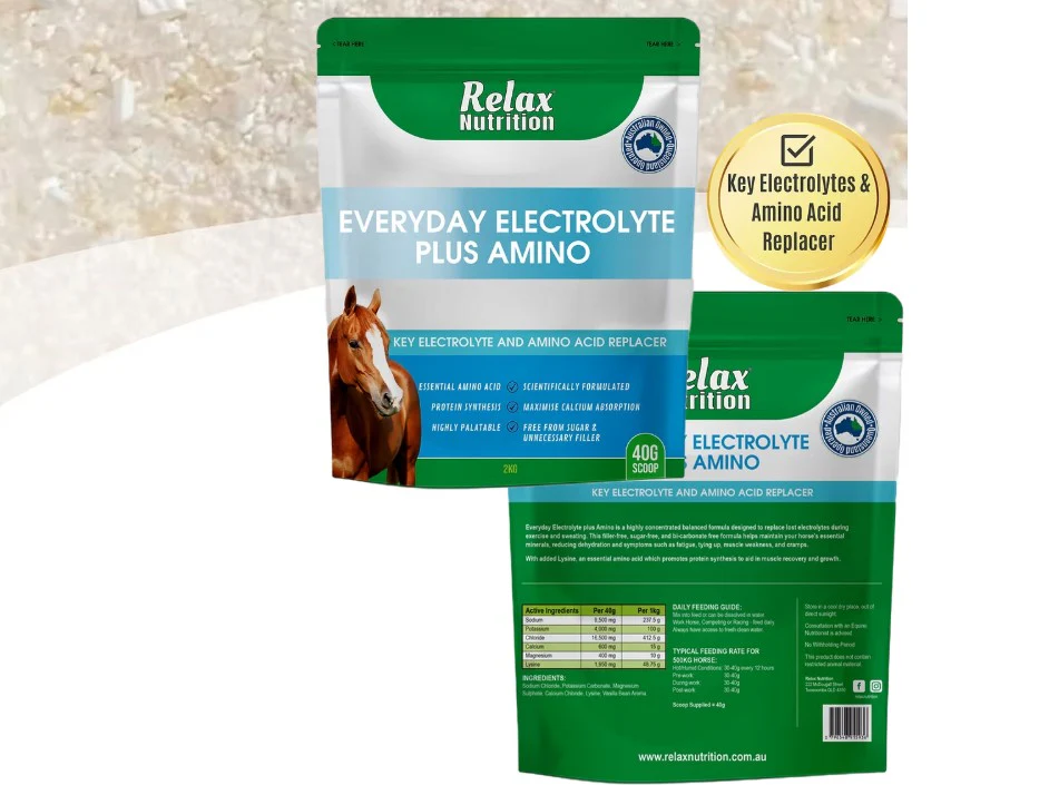 Relax Nutrition Everyday Electrolyte Plus Amino - Image 2