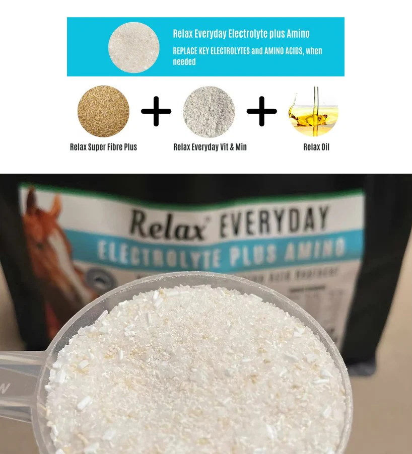 Relax Nutrition Everyday Electrolyte Plus Amino - Image 4