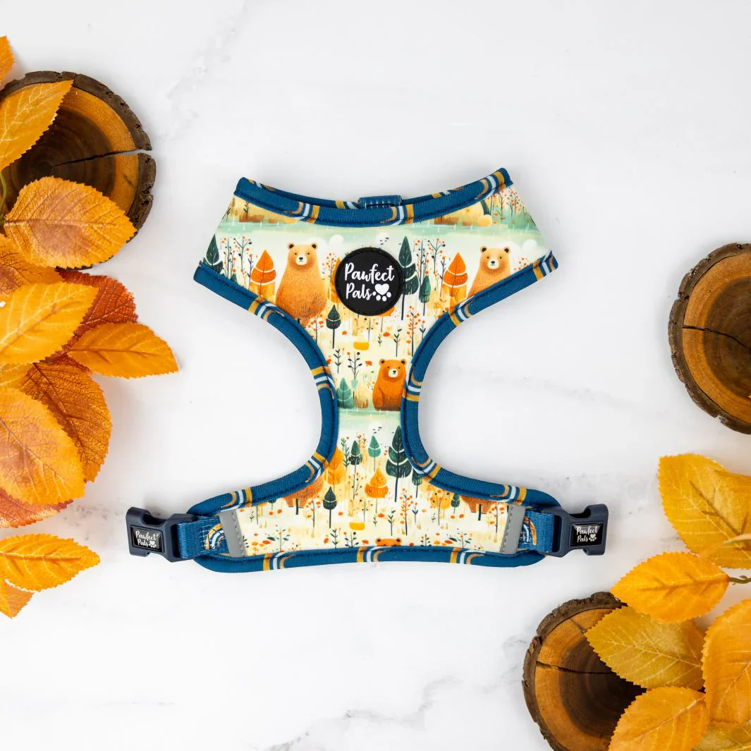 Reversible Dog Harness Wild at Heart - Image 4