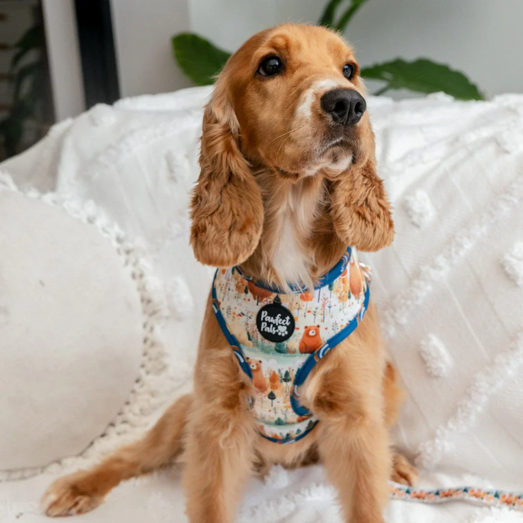 Reversible Dog Harness Wild at Heart - Image 5