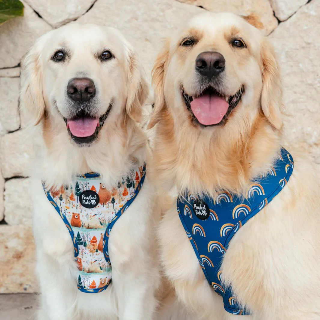 Reversible Dog Harness Wild at Heart - Image 6