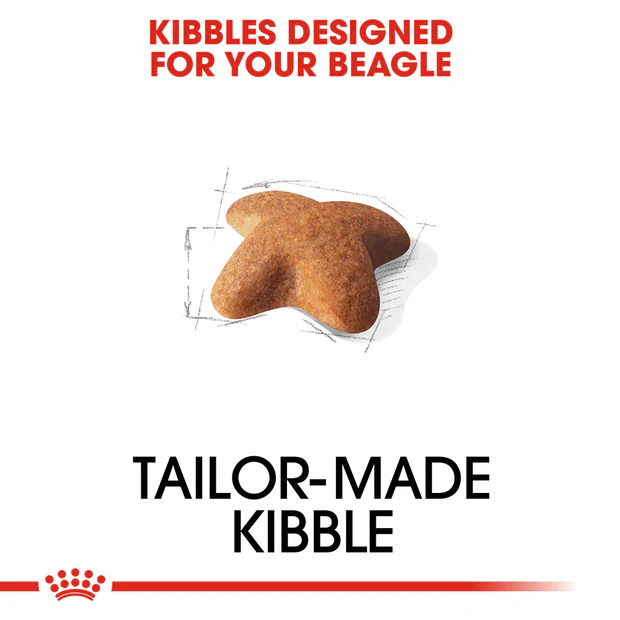 Royal Canin Beagle Adult Dry Dog Food - Image 3