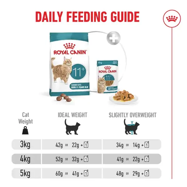 Royal Canin Cat Ageing 11+ Dry Food - Image 2