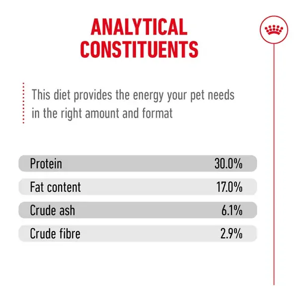 Royal Canin Cat Ageing 11+ Dry Food - Image 3
