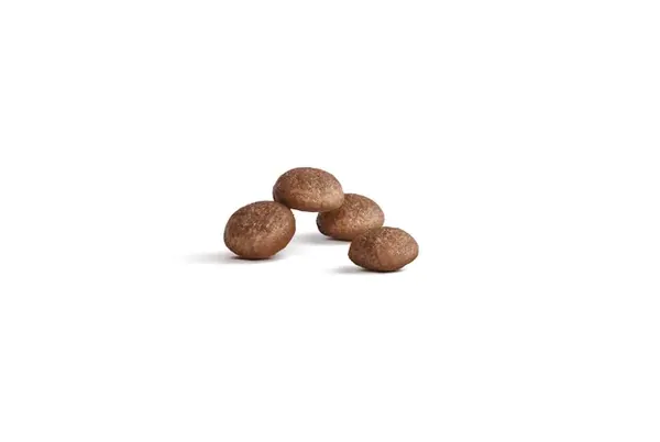 Royal Canin Cat Ageing 11+ Dry Food - Image 5