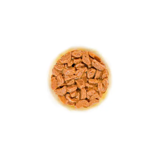 Royal Canin Cat Ageing 11+ Gravy Wet Cat Food - Image 5