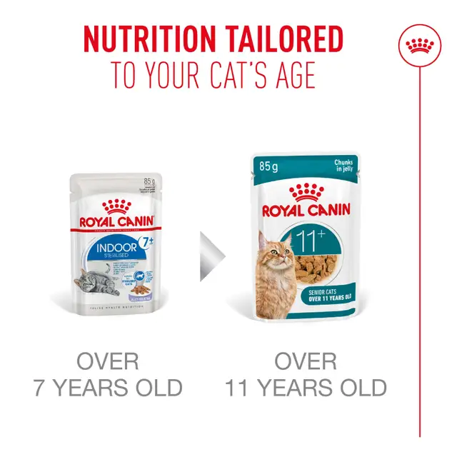 Royal Canin Cat Ageing 11+ Jelly Wet Cat Food - Image 2