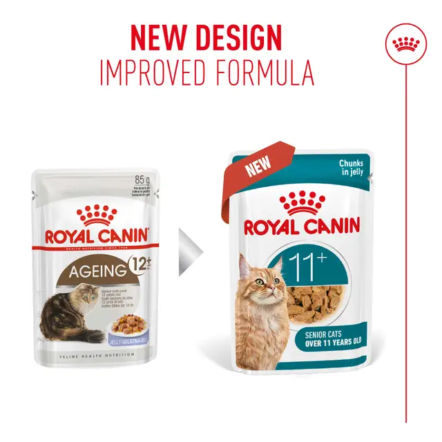 Royal Canin Cat Ageing 11+ Jelly Wet Cat Food - Image 3
