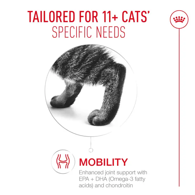 Royal Canin Cat Ageing 11+ Jelly Wet Cat Food - Image 6