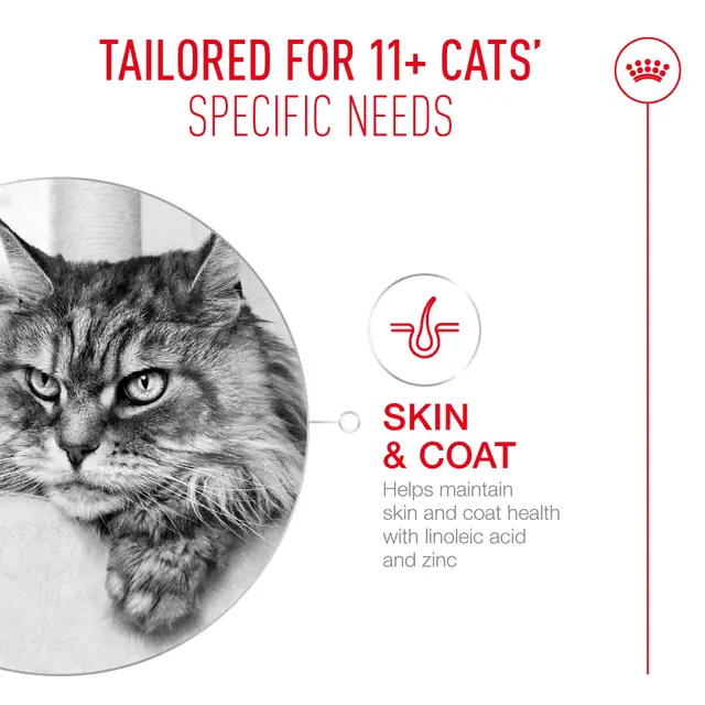 Royal Canin Cat Ageing 11+ Jelly Wet Cat Food - Image 7