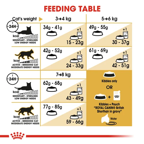Royal Canin Cat British Shorthair Dry Food - Image 5