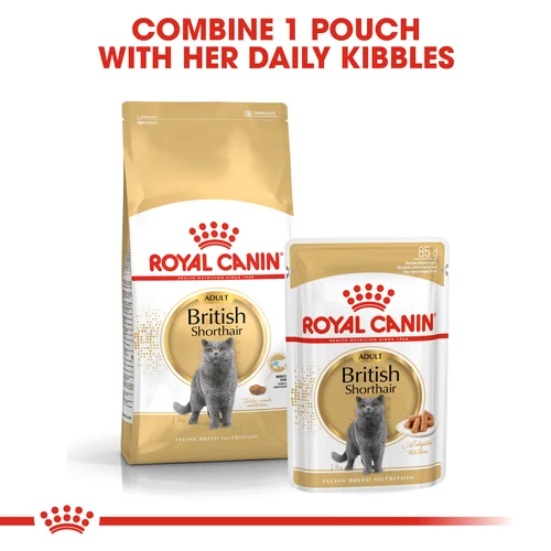 Royal Canin Cat British Shorthair Dry Food - Image 6