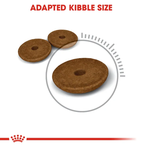 Royal Canin Cat Digestive Care Dry Food - Image 4