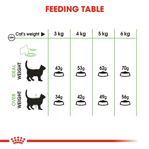 Royal Canin Cat Digestive Care Dry Food - Image 5