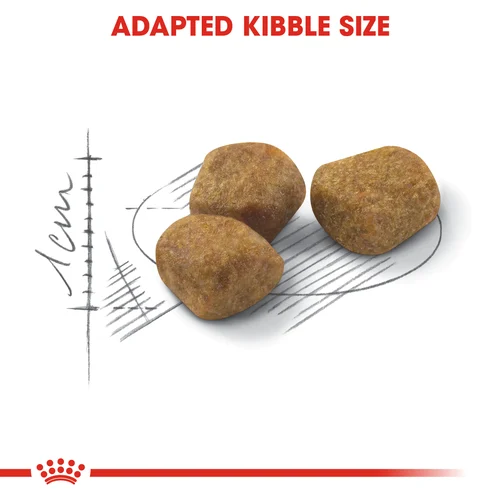 Royal Canin Cat Fit Dry Food - Image 4