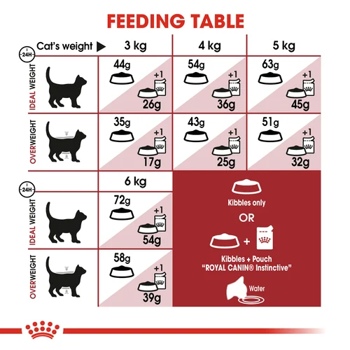 Royal Canin Cat Fit Dry Food - Image 5