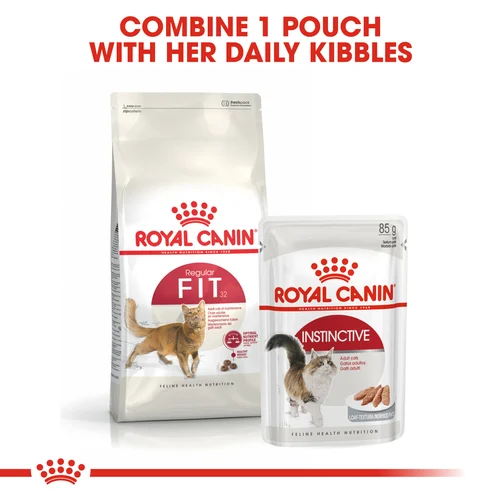 Royal Canin Cat Fit Dry Food - Image 6