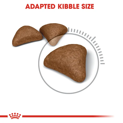 Royal Canin Cat Hairball Care Dry Food - Image 4